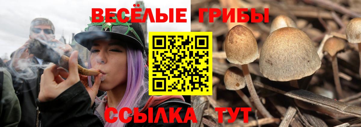 Меф мяу мяу Туймазы