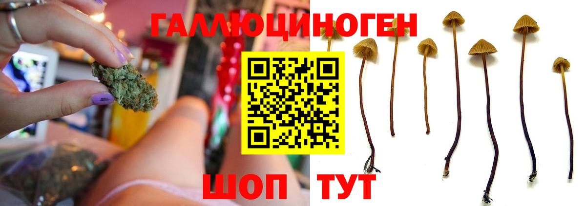 Псилоцибиновые грибы прущие грибы  Вход с VPN  Туймазы 